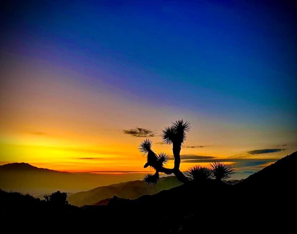 Вилла The Joshua Tree House Экстерьер фото