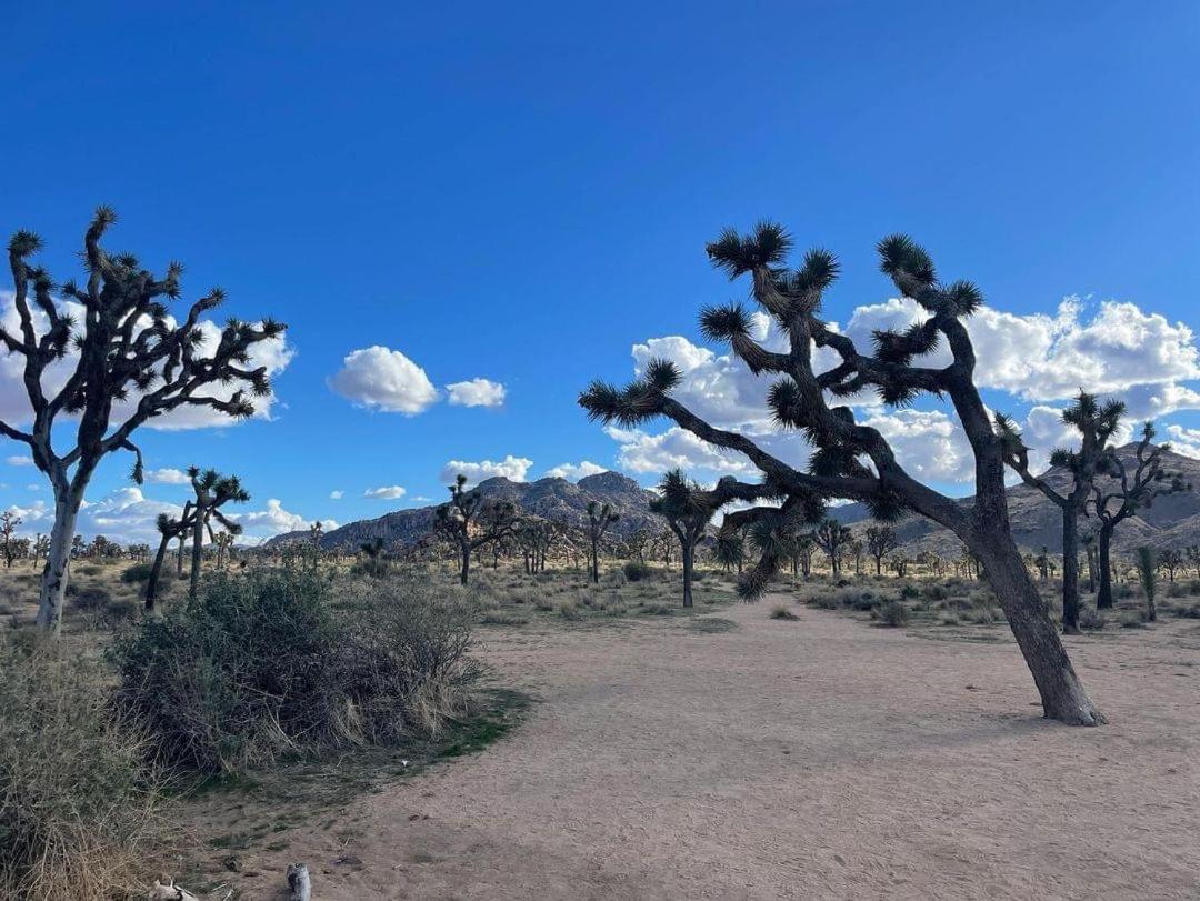 Вилла The Joshua Tree House Экстерьер фото
